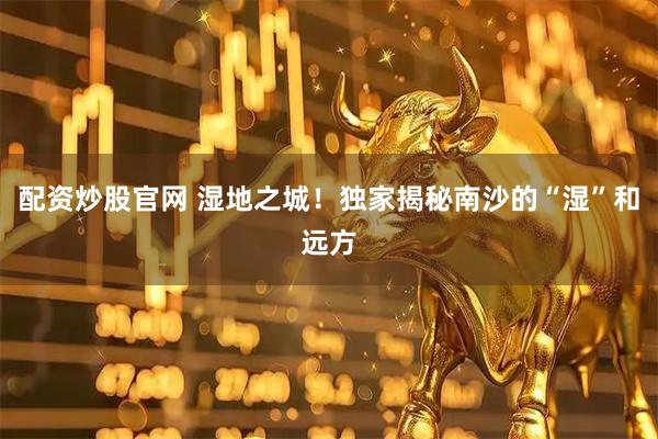 配资炒股官网 湿地之城！独家揭秘南沙的“湿”和远方